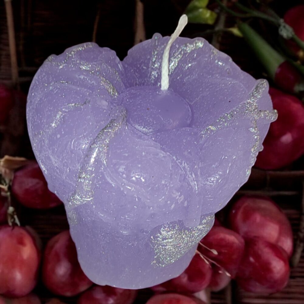 HD1 – Bild 5